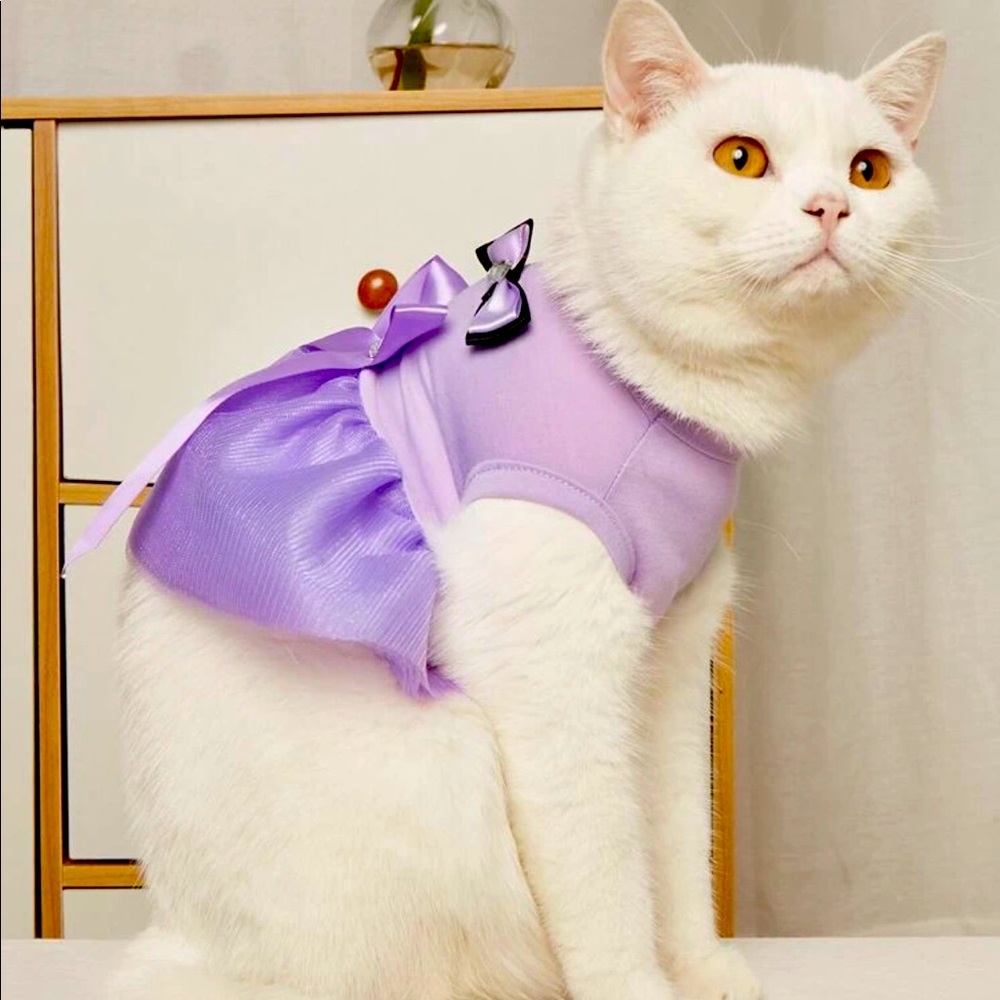 Purple dress for pets ❤️